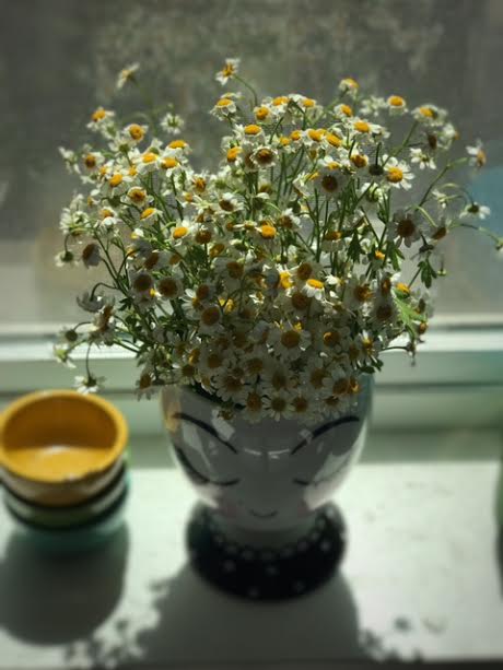 jenna pic of vase with daisies in her kitchen window