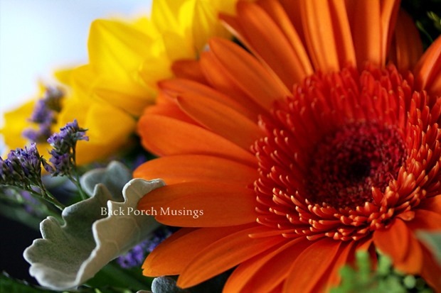 design sunflower and orange gerbera from back porch musings